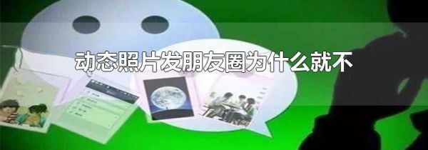 动态照片发朋友圈为什么就不动了