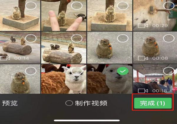 动态照片发朋友圈为什么就不动了