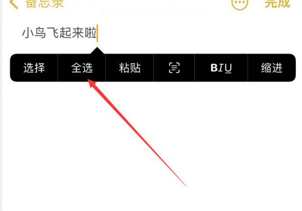 苹果怎么复制