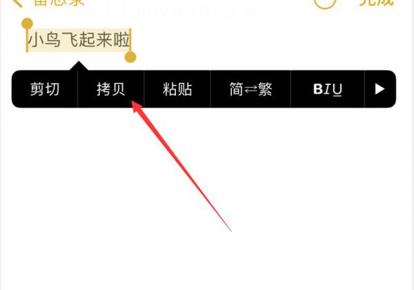 苹果怎么复制