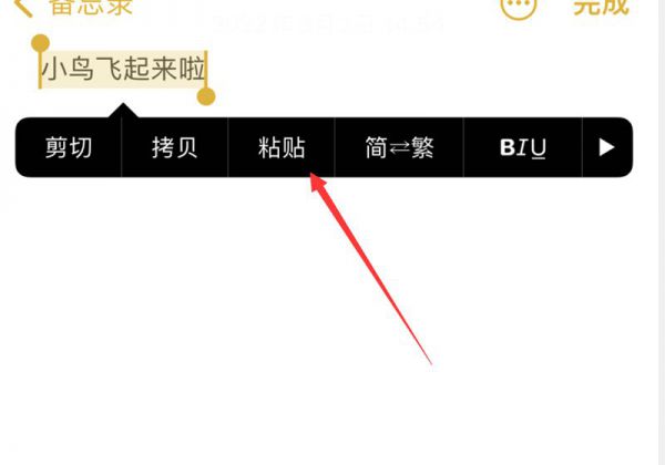 苹果怎么复制