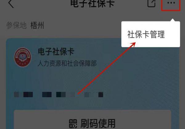 社保卡改密码可以在手机上改吗