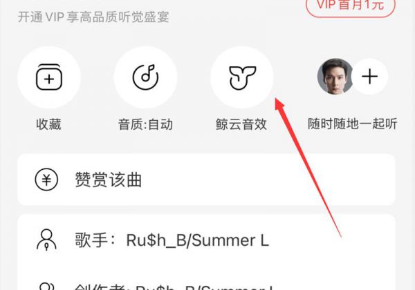 苹果网易云鲸云音效不见了