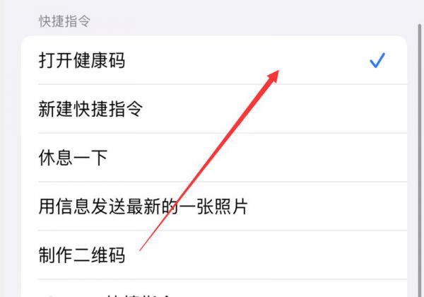 iphone双击背面健康码