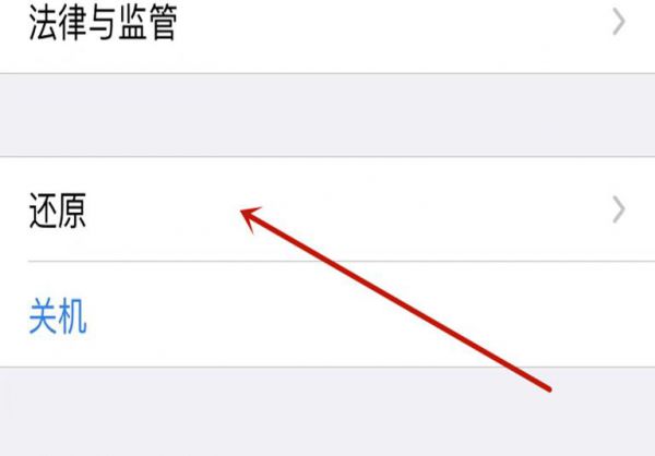 苹果手机电话打不出去也打不进来