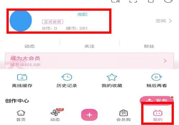 b站大会员49一年怎么买
