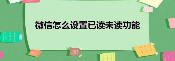 微信怎么设置已读未读功能