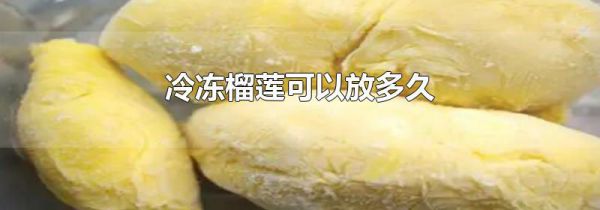 冷冻榴莲可以放多久