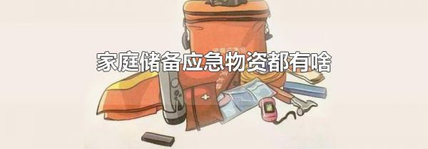家庭储备应急物资都有啥