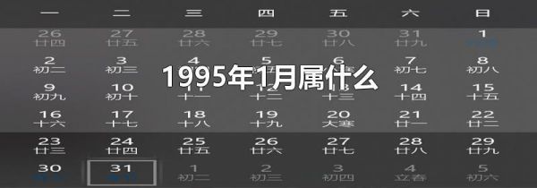 1995年1月属什么