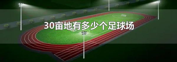 30亩地有多少个足球场