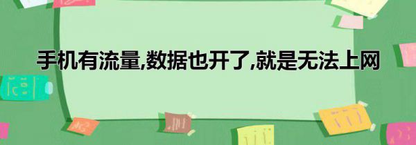 手机有流量,数据也开了,就是无法上网