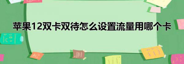 苹果12双卡双待怎么设置流量用哪个卡