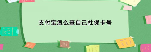 支付宝怎么查自己社保卡号