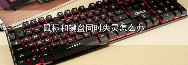 鼠标和键盘同时失灵怎么办
