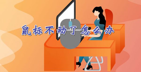 鼠标不动了怎么办