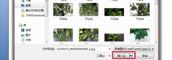文本文档怎么添加图片
