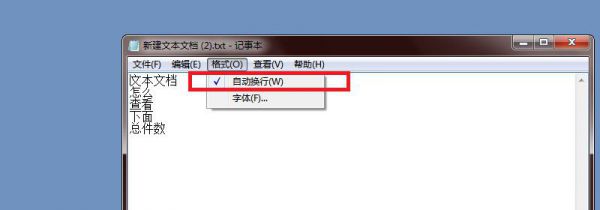 文本文档怎么看下面总件数