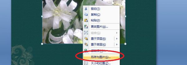 怎么保存ppt图片