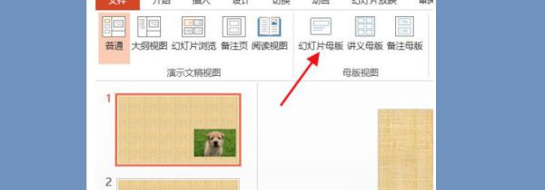 ppt母版图片导出方法
