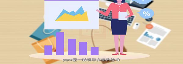 ppt是什么意思