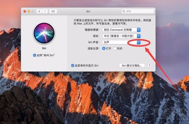 苹果电脑修改Siri声音的方法