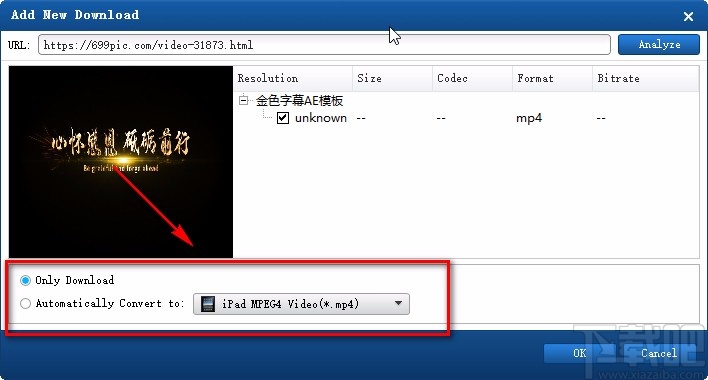 AnyMP4 Video Downloader下载视频的方法