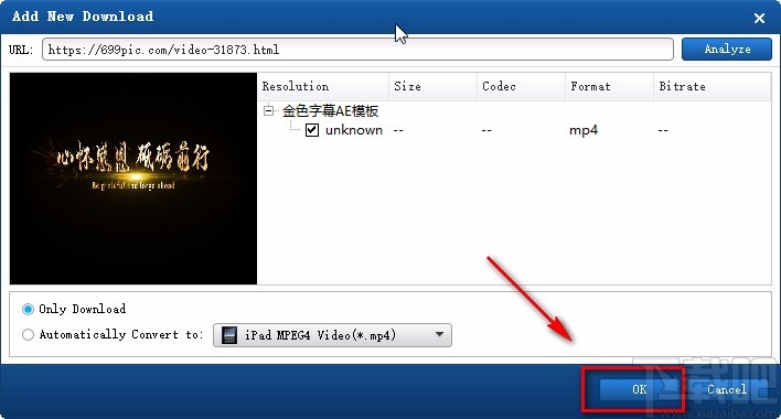 AnyMP4 Video Downloader下载视频的方法