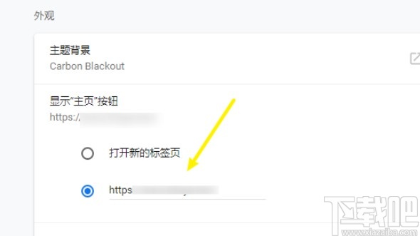 chrome自定义首页的方法步骤