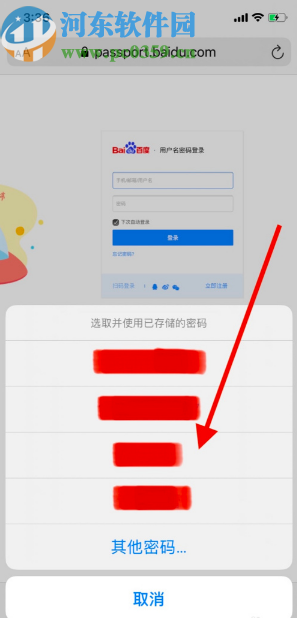 苹果手机使用已储存的密码登录浏览器网页的操作方法