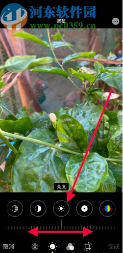 苹果手机调整图片亮度的方法步骤