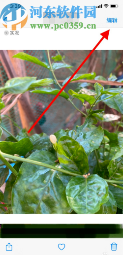 苹果手机调整图片亮度的方法步骤