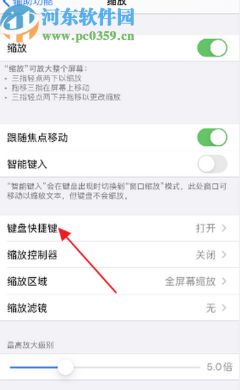 iPhone 11关闭切换缩放方式的方法步骤