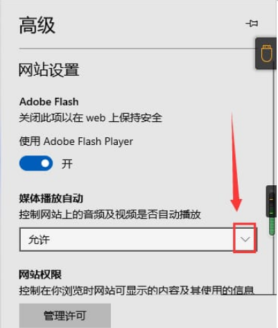 Edge浏览器如何设置媒体自动播放
