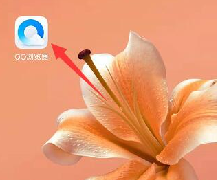 手机qq浏览器怎么打开加密文件