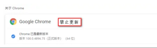 谷歌浏览器更新提示在哪关闭