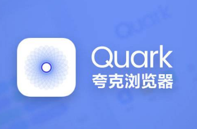 夸克浏览器切换网页老是关闭什么原因