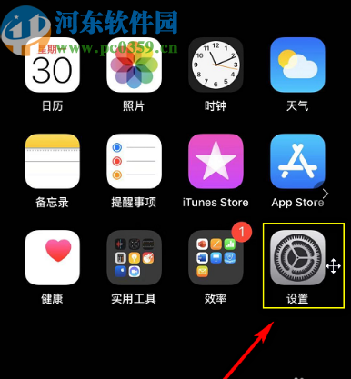 iPhone 11 Pro开启低数据模式的方法