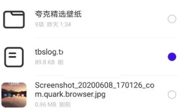 夸克浏览器下载网盘资源怎么操作