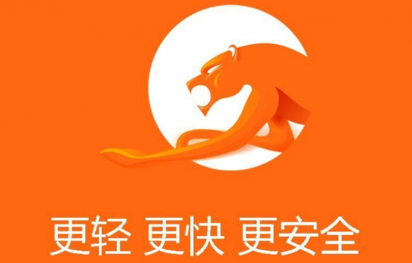 猎豹浏览器风险提示怎么关闭
