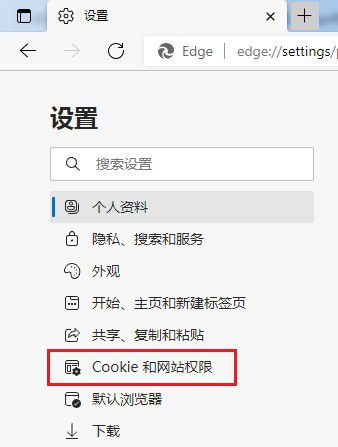 edge浏览器怎么删除单独网站cookie数据