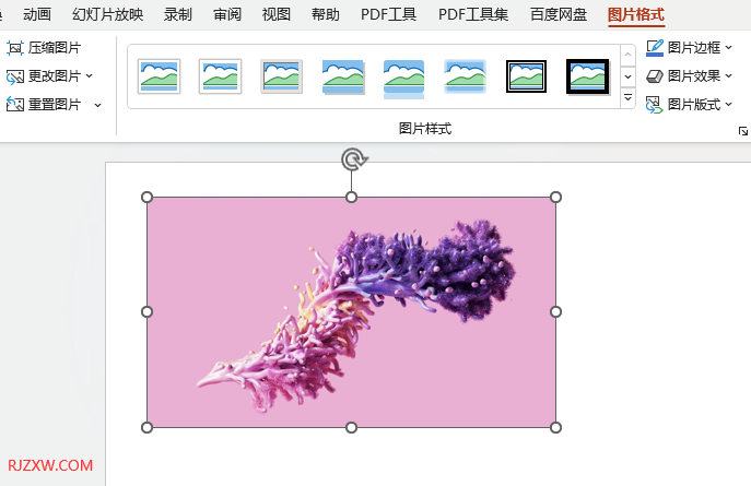 PPT2021的图片怎么压缩图片