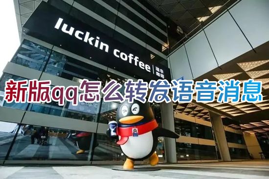 新版qq怎么转发语音消息 2023qq怎么转发语音给别人听