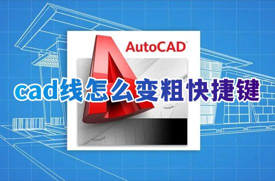 cad线怎么变粗快捷键 cad怎么把一根线变粗