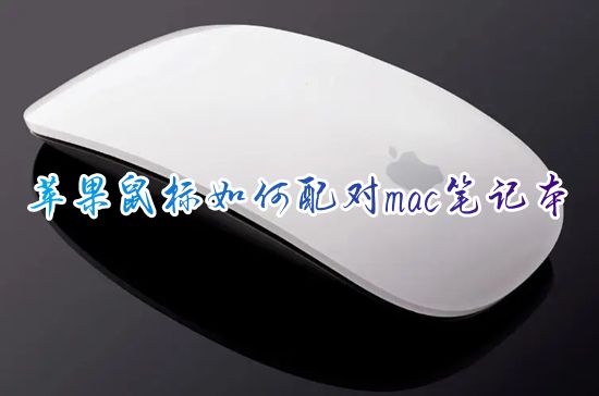 苹果鼠标如何配对mac笔记本 苹果鼠标怎么连接苹果笔记本电脑