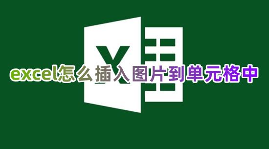 excel怎么插入图片到单元格中 图片如何嵌入到excel表格里面去