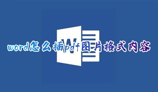 word怎么插pdf图片格式内容 pdf怎么插到word文档里面显示