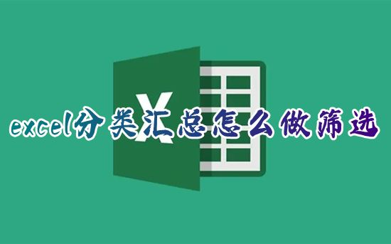 excel分类汇总怎么做筛选 excel表格中同一类怎么归类