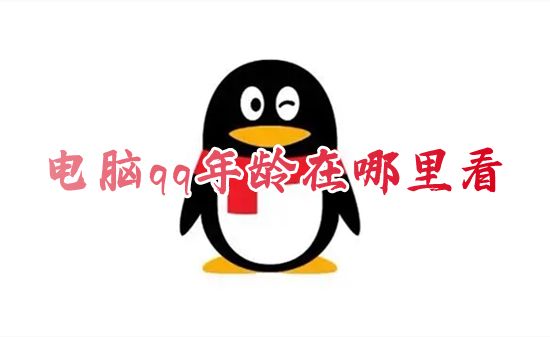 电脑qq年龄在哪里看 2023qq怎么看自己多少岁