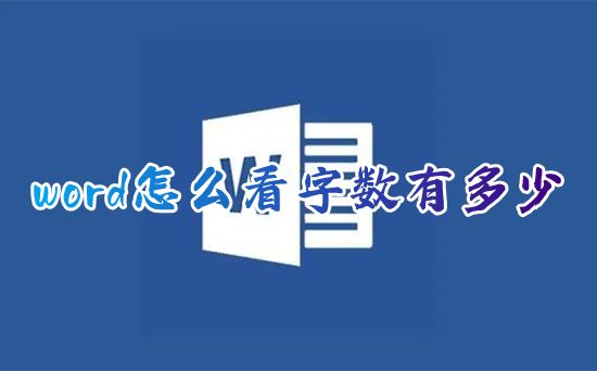 word怎么看字数有多少 word文档怎么计算字数不含标点